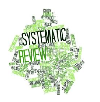 Systemic-Review